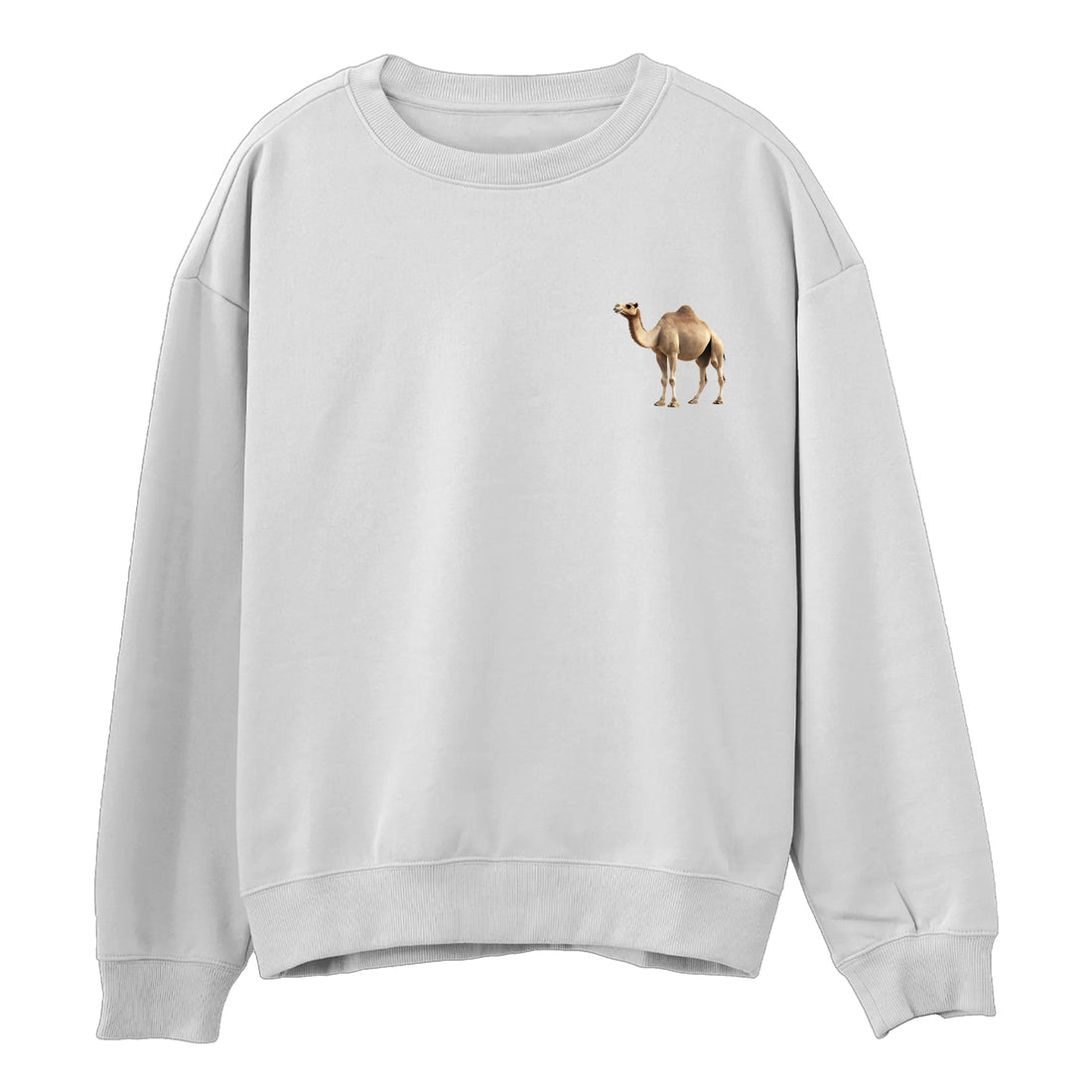 Çöl Arkadaşı Sweatshirt